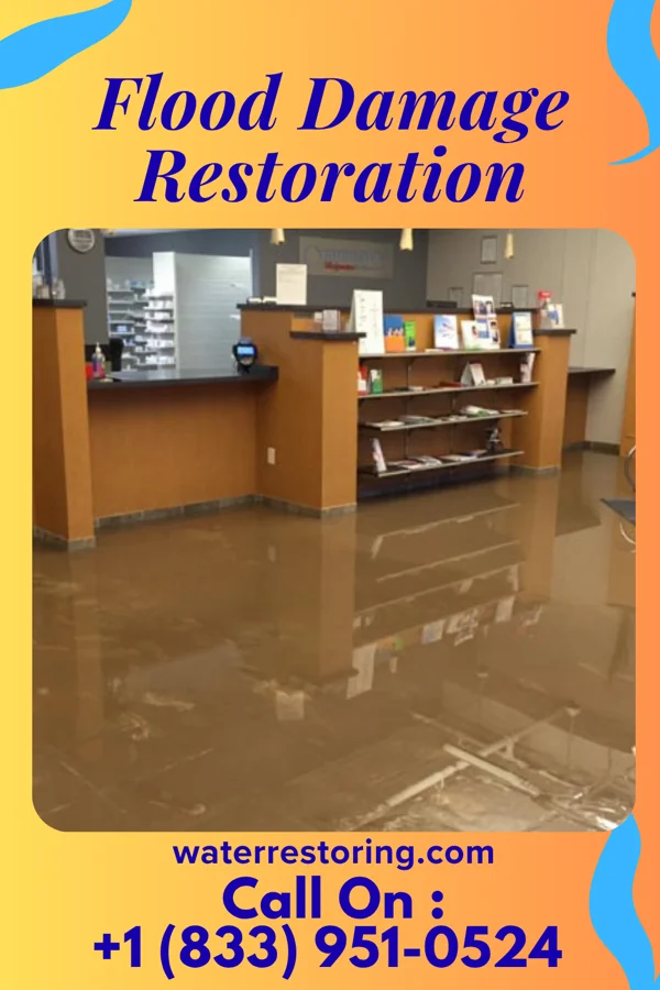Flood Damage Restoration in River Falls, AL