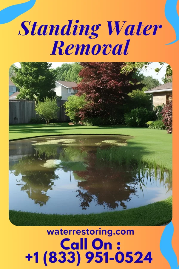 Standing Water Removal in River Falls, AL